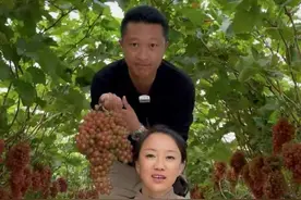 80后山东夫妻，放弃5万月薪，回村种菜，一天就卖了120万，凭啥？图片