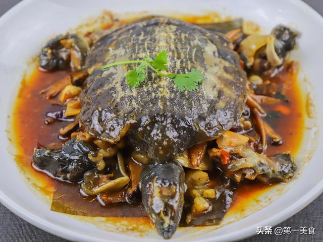 王八的做法(王八的做法及食用方法照片)