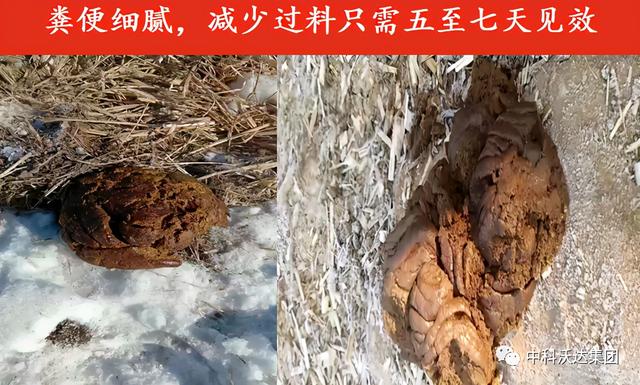 鐩婄珛鍋ワ紙鐗涚緤涓撶敤锛夆€斾腑绉戞矁杈句腑鑽椿鑿屽彂閰点€侀槻鐥呮姉鐥呬績鐢熼暱