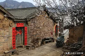 河南山村游玩，农村大嫂用农家饭招待我们，3人收费60元值不值图片