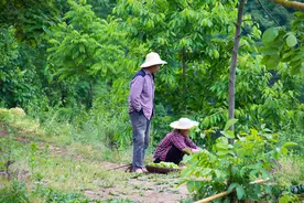 一对老夫妻，一个年轻妈妈带着两个娃，山里的这一家人，岁月静好图片