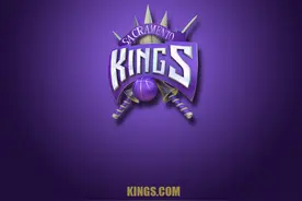 NBA30队使用的精彩队标，你觉得哪个队的最酷炫图片