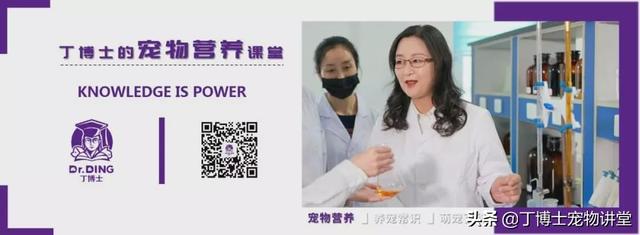 影响犬猫皮毛的营养因素蛋白质、氨基酸、脂肪酸、矿物质、维生素