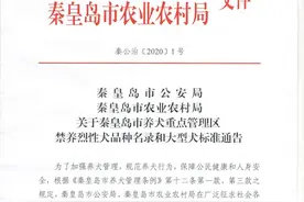 注意！河北2市最新养犬公告！图片