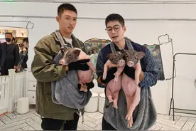 刚开播就嗑了？陈学冬黄景瑜上节目拌嘴超搞笑，这是来过日子的吧图片