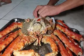 “帝王蟹”两千元网购，只有蟹腿能吃？海鲜界其他螃蟹自请入锅图片
