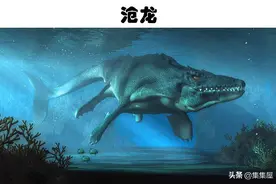 被怀疑依然存活于世界的5大史前动物图片