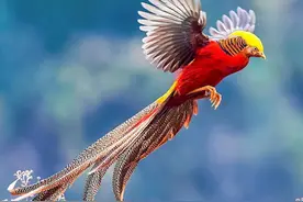 这些“神兽”能保佑高考好运？古代文人趋之若鹜的“衣冠禽兽”图片