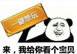 王者荣耀一键禁玩表情包搞笑版_王者荣耀禁玩表情图片