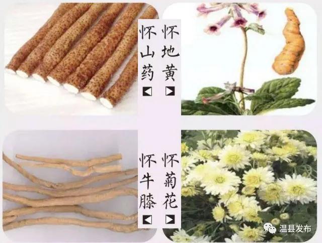 乌鸡花胶猴头菇 2026年花胶和猴头菇能一起煲汤吗
