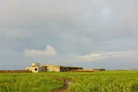 台湾最大的岛屿图片