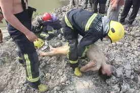 苦命的三哥：三嫂走了整整三周年，12岁的儿子也离开了人间图片