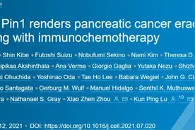 《细胞》：70%小鼠消除胰腺癌！华人科学家提出攻克“癌症之王”新方法图片