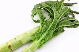 莴笋裂茎？这些真凶你知道吗？图片