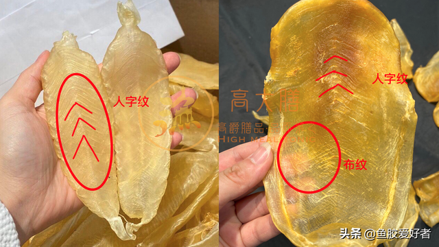 白花胶是什么鱼的鱼胶 2026年白花胶的特征
