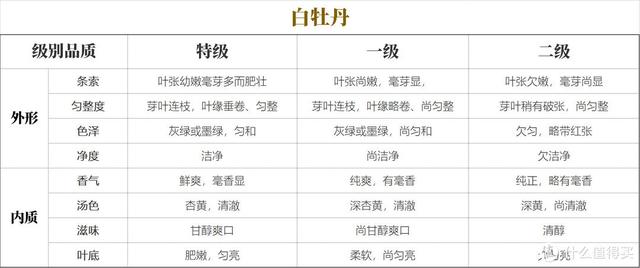 六大茶类通识：万字长文，一篇看懂：什么是白茶