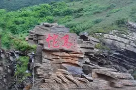 1平方公里藏有近2万条毒蛇，大连蛇岛的蛇为何越来越多？图片