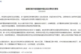 中国驻迪拜总领馆提醒近期回国中国公民：尽量选择直航航班、离迪前获得健康码图片