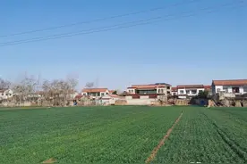 用合村并居来“赶”农民上楼，村民：自家小院适合住，不想住楼房图片