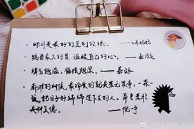 纯干货！手帐小白可以入手的N个手帐工具！图片