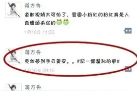 逻辑推理：蒋方舟到底做了什么梦？要在梦中手刃黄安？纯属虚构图片