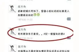 逻辑推理：蒋方舟到底做了什么梦？要在梦中手刃黄安？纯属虚构图片