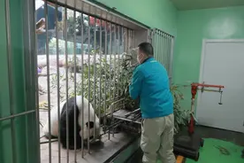 有吃有喝，北京动物园的动物们都宅得好着呢图片
