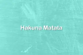 音乐速递｜李让同学《Hakuna Matata》图片