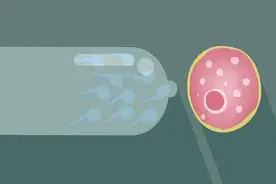 同样都是“套套”，为啥价格不一样？几块的和几百的，有啥不同？图片