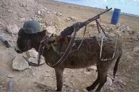 弓弩射火箭弹、煤气罐炮、钢管大狙，细数各种DIY武器图片