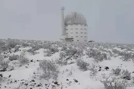 零下9.9度！南非遭遇极寒天气，19城冷出新纪录，又是极端气候？图片