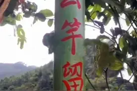 霸气塘主用断竿插成护栏并打上标语：“要么竿留下，要么鱼带走”图片