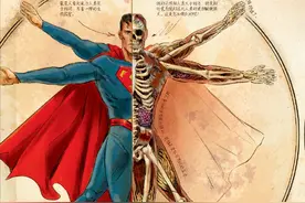 蝙蝠侠的绝密笔记：对超人类的身体研究，与潜在威胁的反制计划图片