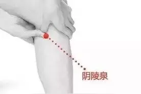 阴陵泉：缓解腹痛、膝痛图片