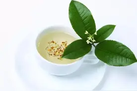 桂花茶——沁人肺腑图片