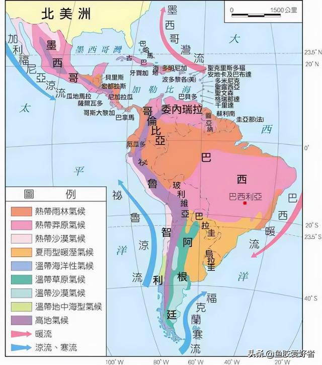 北海花胶 2026年北海花胶是什么鱼种