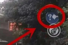 高速上“问号加灯泡”是什么意思？新标难倒众人，走错扣3分图片