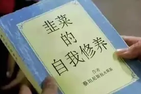 韭菜的自我修养图片