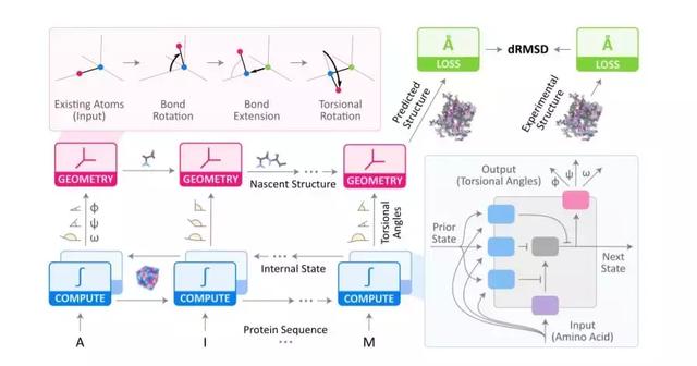 速度提高100万倍，哈佛医学院提出可预测蛋白质结构的新深度模型