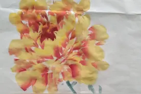 《牡丹花头结构》——荷花与牡丹花头结构对比图片