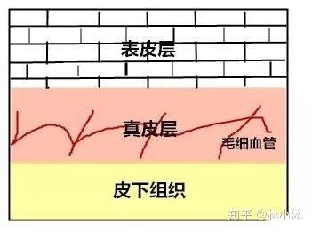 璁茬湡锛屾湁浜涢粦蹇冨晢瀹讹紝瀛曞鐢ㄧ殑涓滆タ灏变笉瑕佹槯鐫€鑹績璧氶挶浜嗗惂