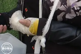 南昌：摆餐具时突发意外，服务员在店内摔骨折图片