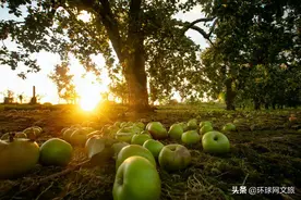 万圣节的故乡在爱尔兰图片