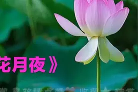 每日荐赏｜《春江花月夜》，静心舒缓，经典好听的中国古典纯音乐图片