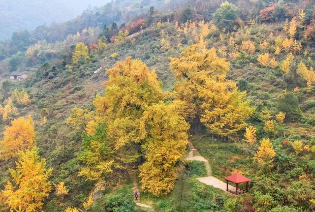 重阳登高,十堰这些赏秋名山不容错过