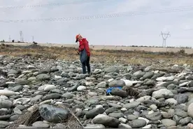 采遍玛河万种玉图片
