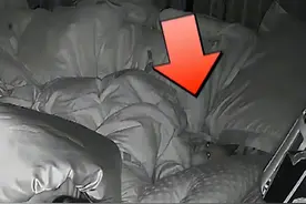 河南一宝宝半夜突然尖叫，妈妈迅速惊醒查看情况，爸爸反应引热议图片