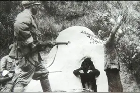 河南巨匪王三祝，横行豫北十余年，四野42军消灭他，仅用了一天图片