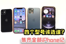 集齐所有iPhone12，四个型号各有不同，该选谁？视频封面