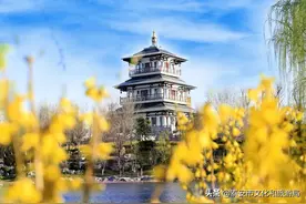春暖花开，为你而来 | 复圣文化园带你感受春天的颜色图片